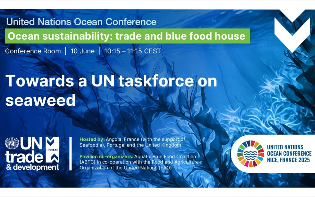 La Baleine event at UNOC3: Towards a UN taskforce on seaweed