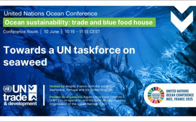 La Baleine event at UNOC3: Towards a UN taskforce on seaweed