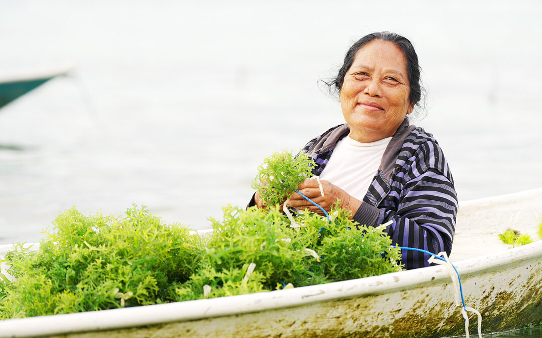 Supporting seaweeds and their myriad contributions to advancing sustainable, inclusive, science- and evidence-based solutions for the 2030 Agenda and beyond