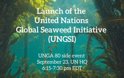 Launch of the United Nations Global Seaweed Initiative (UNGSI)