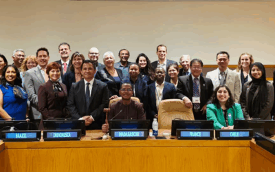 A Seaweed Revolution Begins: United Nations Global Seaweed Initiative Officially Launched
