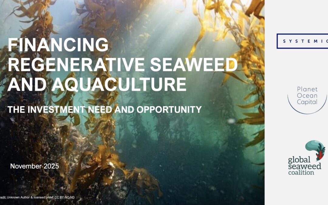 Financing Regenerative Seaweed & Bivalves: Launch Event
