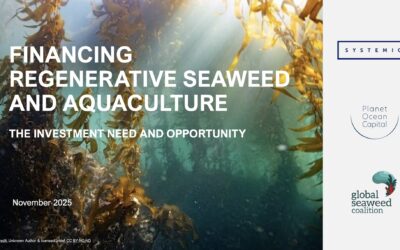 Financing Regenerative Seaweed & Bivalves: Launch Event