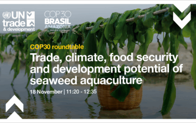 COP30 roundtable: Trade, climate, food security and development potential of seaweed aquaculture