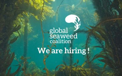 The Global Seaweed Coalition is hiring a fundraising manager