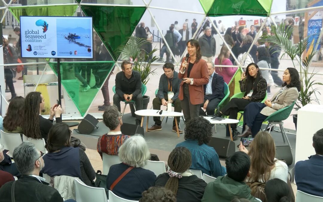 Seaweed at Scale : A Global Perspective into Implementation