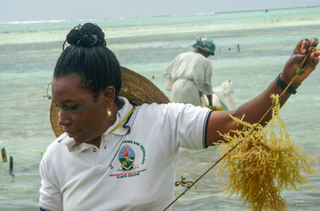 In Memoriam: Dr. Flower Msuya