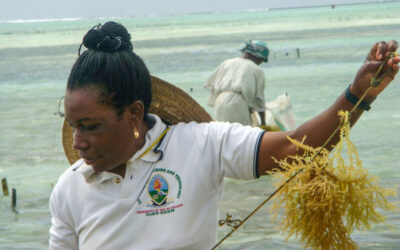 In Memoriam: Dr. Flower Msuya