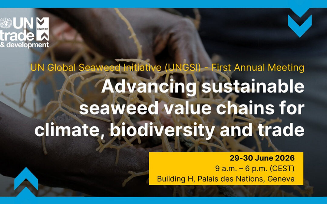 UN Global Seaweed Initiative: Annual meeting