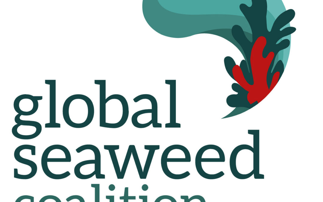 The Global Seaweed Coalition is now a Foundation: a new chapter in a long institutional journey